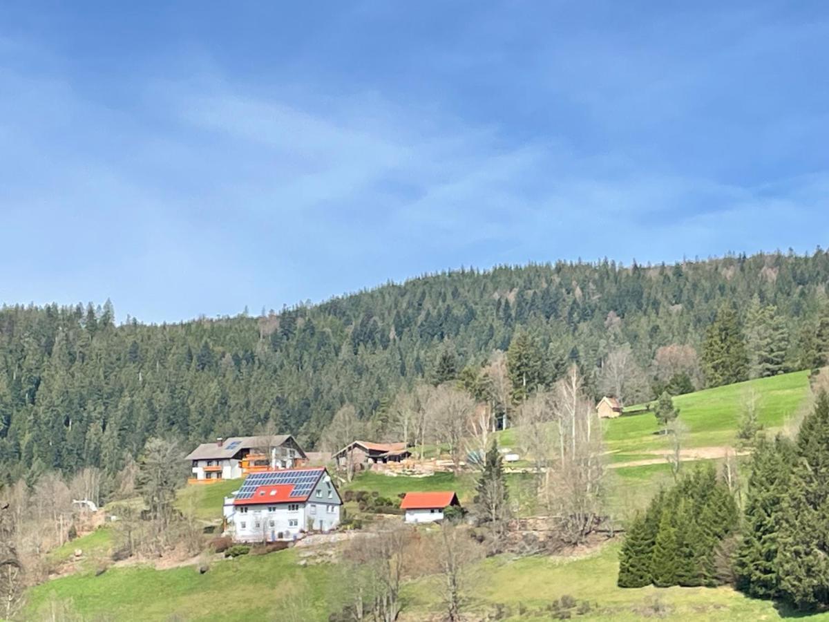 Apartament Altes Berghaus Obertal  Zewnętrze zdjęcie