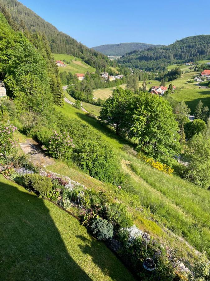 Apartament Altes Berghaus Obertal  Zewnętrze zdjęcie
