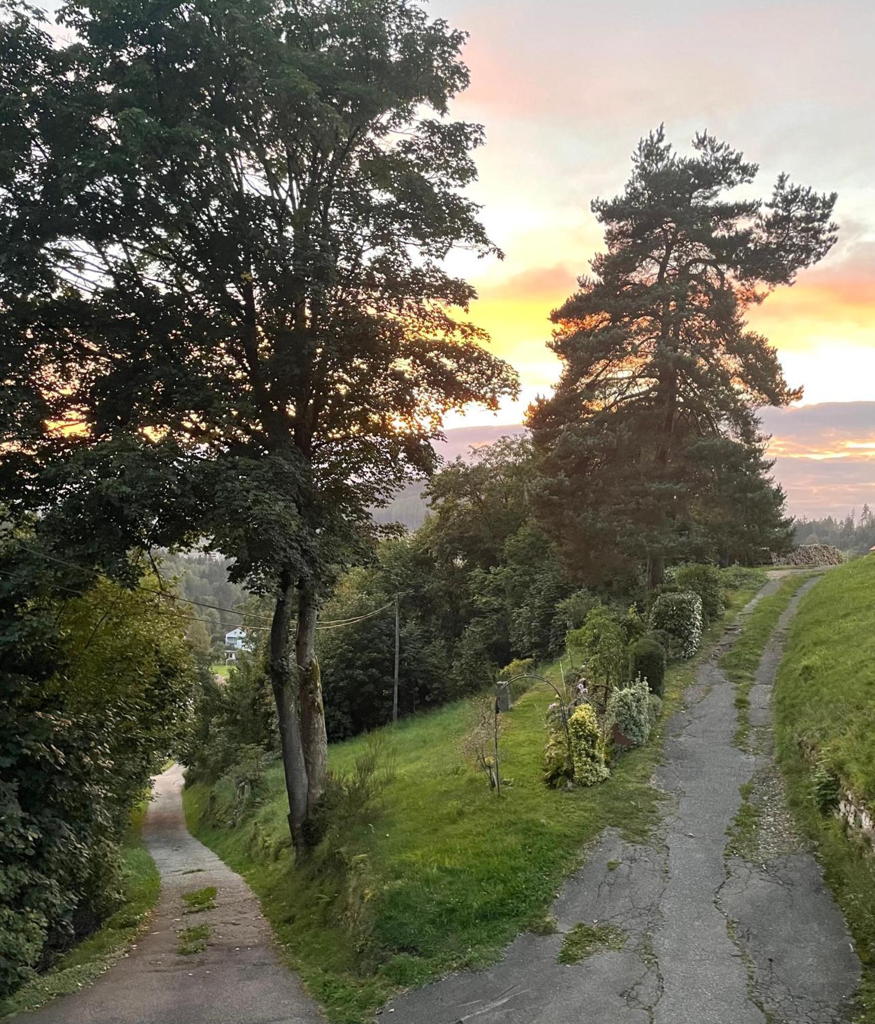 Apartament Altes Berghaus Obertal  Zewnętrze zdjęcie